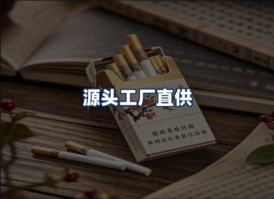 专业团队办公环境